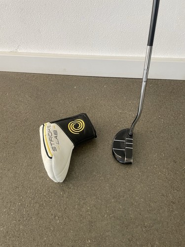 Odyssey golf putter - odyssey, rossie